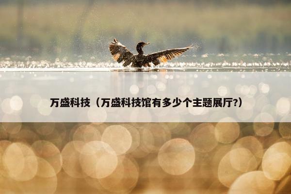 万盛科技（万盛科技馆有多少个主题展厅?）
