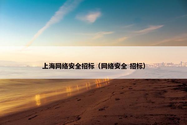 上海网络安全招标（网络安全 招标）