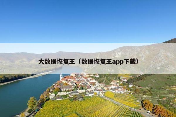 大数据恢复王（数据恢复王app下载）