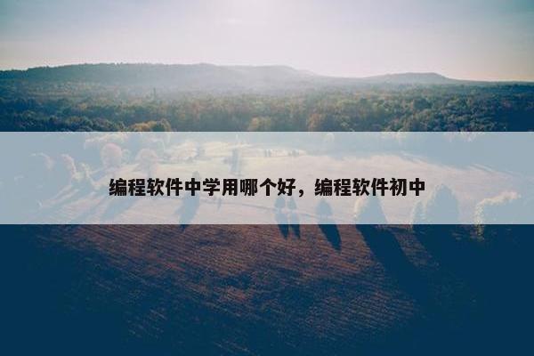 编程软件中学用哪个好，编程软件初中