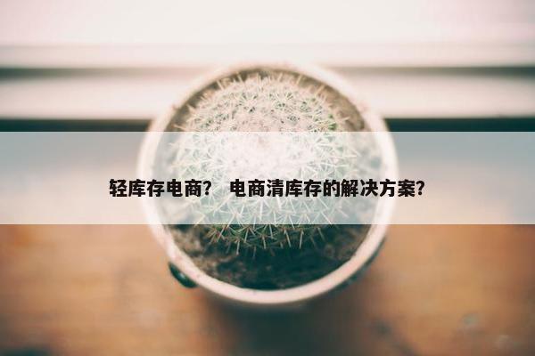 轻库存电商？ 电商清库存的解决方案？