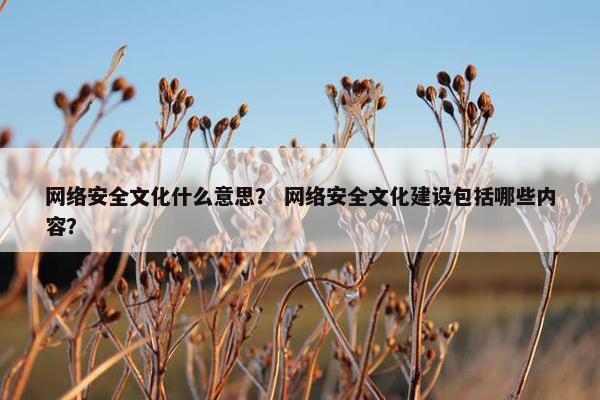 网络安全文化什么意思？ 网络安全文化建设包括哪些内容？