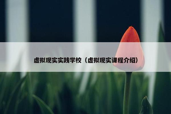 虚拟现实实践学校（虚拟现实课程介绍）