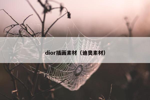 dior插画素材（迪奥素材）