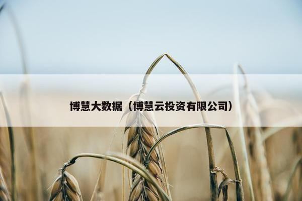 博慧大数据（博慧云投资有限公司）