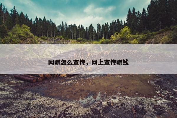 网赚怎么宣传，网上宣传赚钱