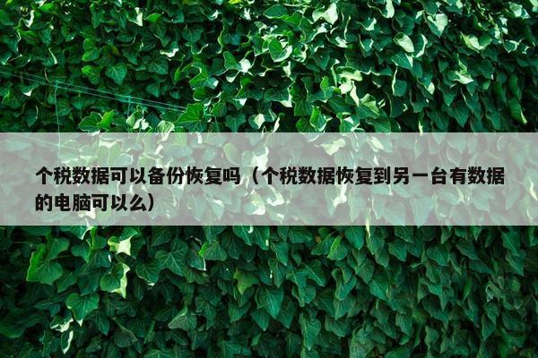 个税数据可以备份恢复吗（个税数据恢复到另一台有数据的电脑可以么）