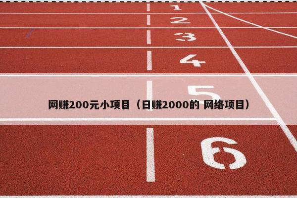 网赚200元小项目（日赚2000的 网络项目）