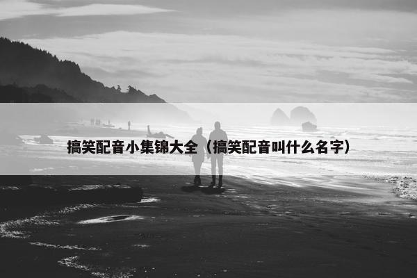 搞笑配音小集锦大全（搞笑配音叫什么名字）