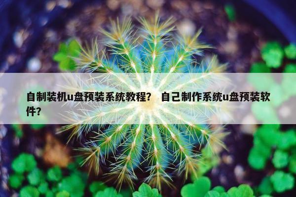 自制装机u盘预装系统教程？ 自己制作系统u盘预装软件？