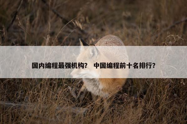 国内编程最强机构？ 中国编程前十名排行？