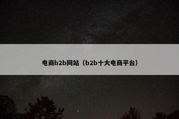 电商b2b网站（b2b十大电商平台）
