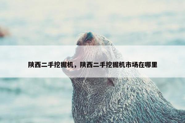 陕西二手挖掘机，陕西二手挖掘机市场在哪里