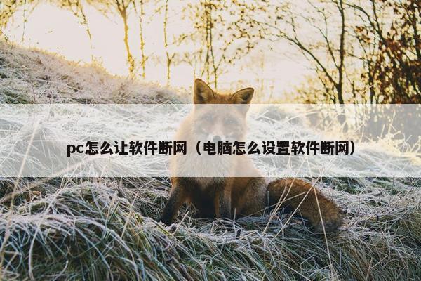 pc怎么让软件断网（电脑怎么设置软件断网）