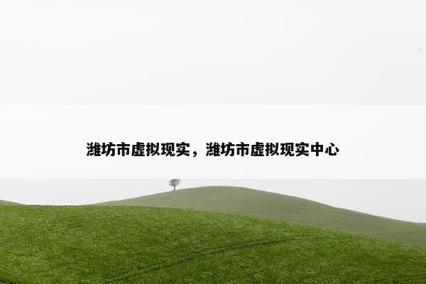 潍坊市虚拟现实，潍坊市虚拟现实中心