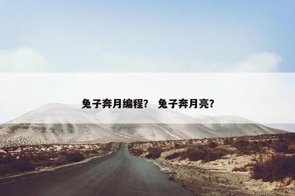 兔子奔月编程？ 兔子奔月亮？