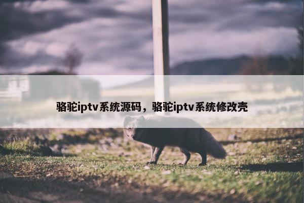 骆驼iptv系统源码，骆驼iptv系统修改壳