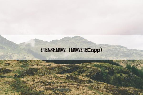 词语化编程（编程词汇app）