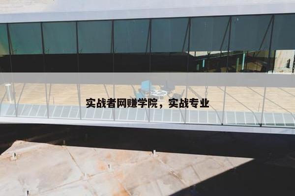 实战者网赚学院，实战专业