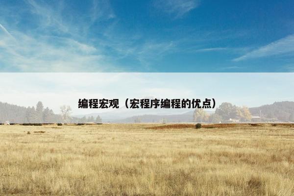 编程宏观（宏程序编程的优点）