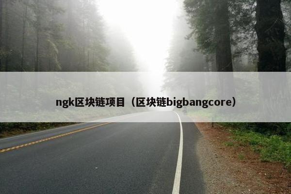 ngk区块链项目（区块链bigbangcore）