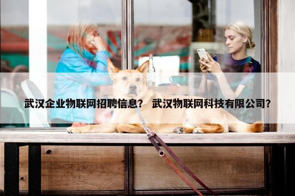 武汉企业物联网招聘信息？ 武汉物联网科技有限公司？