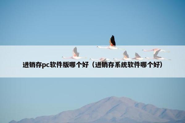 进销存pc软件版哪个好（进销存系统软件哪个好）