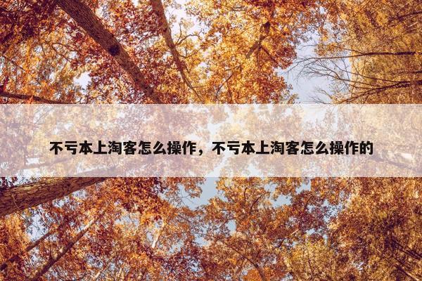 不亏本上淘客怎么操作，不亏本上淘客怎么操作的