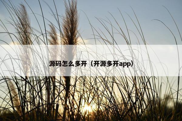 源码怎么多开（开源多开app）