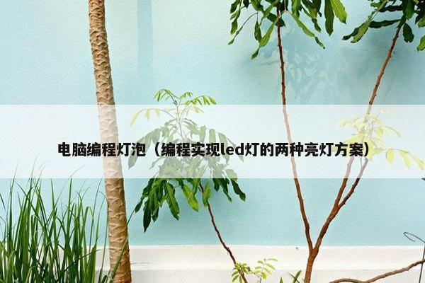 电脑编程灯泡（编程实现led灯的两种亮灯方案）