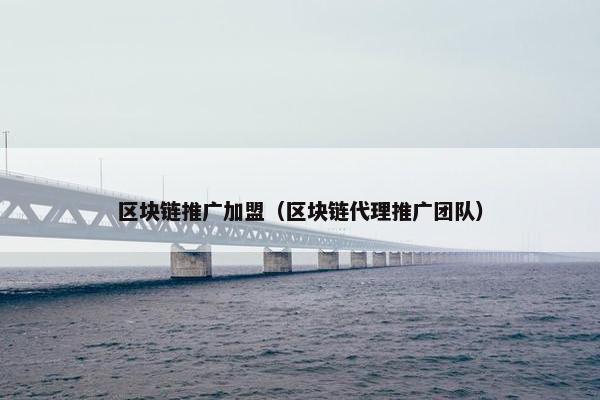 区块链推广加盟（区块链代理推广团队）