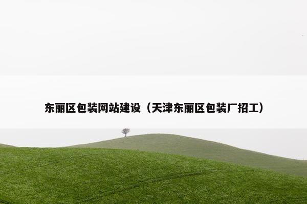 东丽区包装网站建设（天津东丽区包装厂招工）