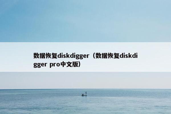 数据恢复diskdigger(数据恢复diskdigger pro中文版)
