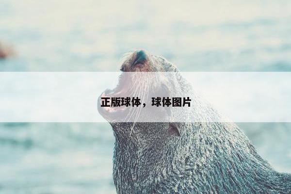 正版球体，球体图片