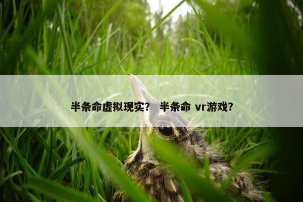 半条命虚拟现实? 半条命 vr游戏?