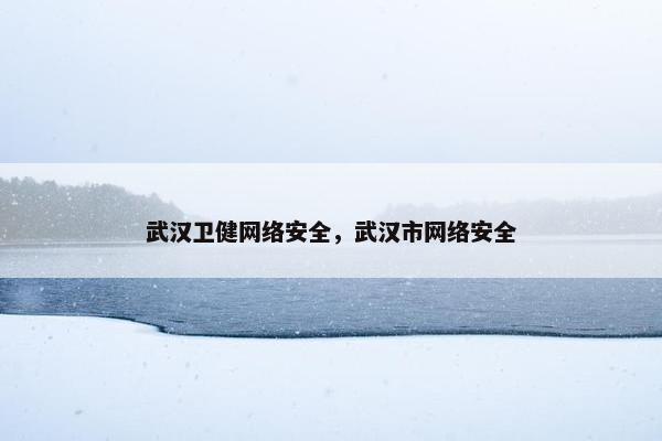 武汉卫健网络安全，武汉市网络安全