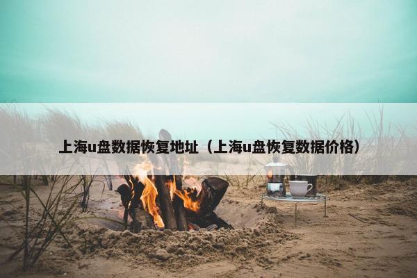 上海u盘数据恢复地址(上海u盘恢复数据价格)