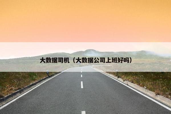大数据司机（大数据公司上班好吗）