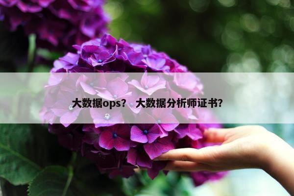 大数据ops？ 大数据分析师证书？