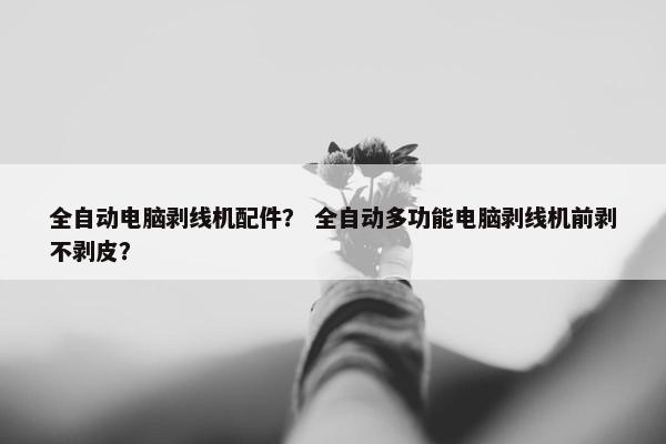 全自动电脑剥线机配件? 全自动多功能电脑剥线机前剥不剥皮? 全自动电脑剥线机配件? 全自动多功能电脑剥线机前剥不剥皮?