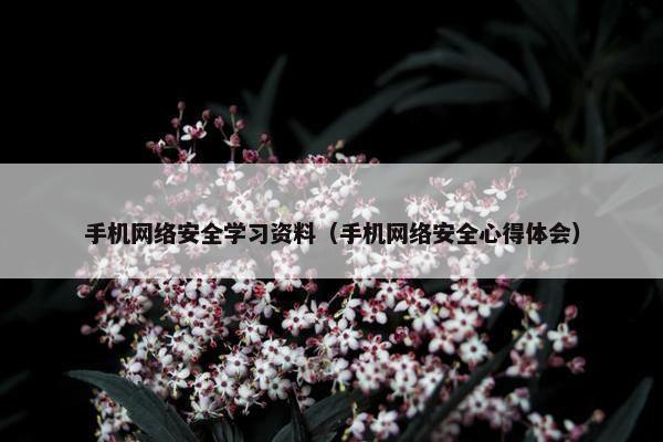 手机网络安全学习资料(手机网络安全心得体会)