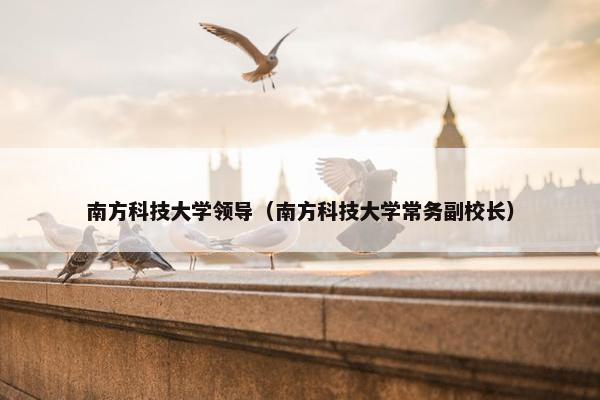 南方科技大学领导（南方科技大学常务副校长）