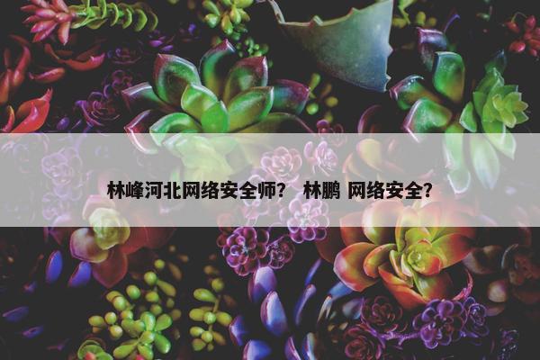 林峰河北网络安全师？ 林鹏 网络安全？