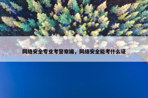 网络安全专业考警察编,网络安全能考什么证