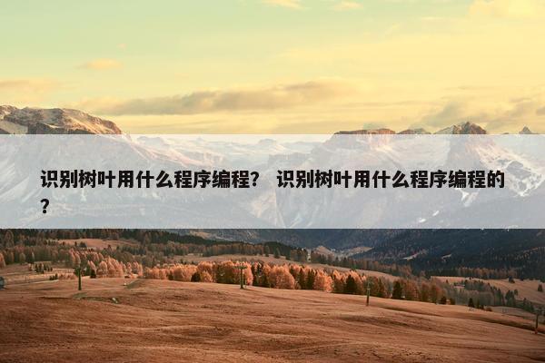 识别树叶用什么程序编程？ 识别树叶用什么程序编程的？