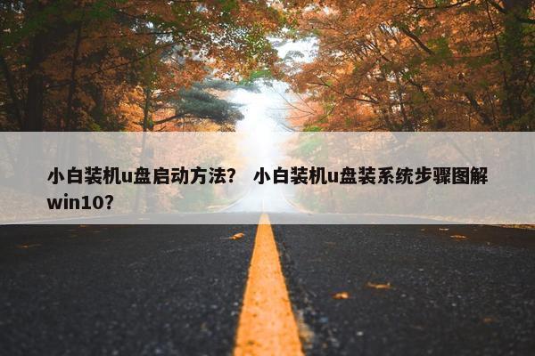 小白装机u盘启动方法？ 小白装机u盘装系统步骤图解win10？
