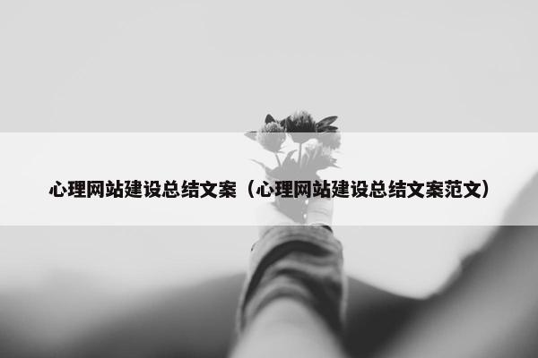 心理网站建设总结文案（心理网站建设总结文案范文）