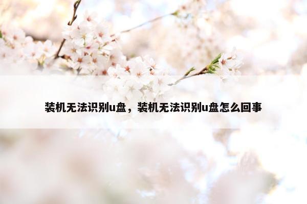 装机无法识别u盘，装机无法识别u盘怎么回事