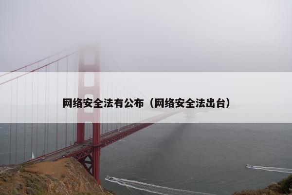 网络安全法有公布（网络安全法出台）