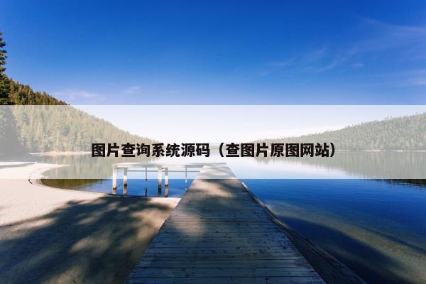 图片查询系统源码（查图片原图网站）